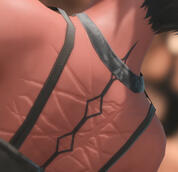 Scars and tattoos Scars and tattoos